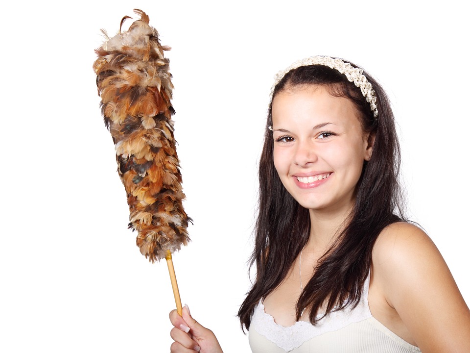 house cleaning service