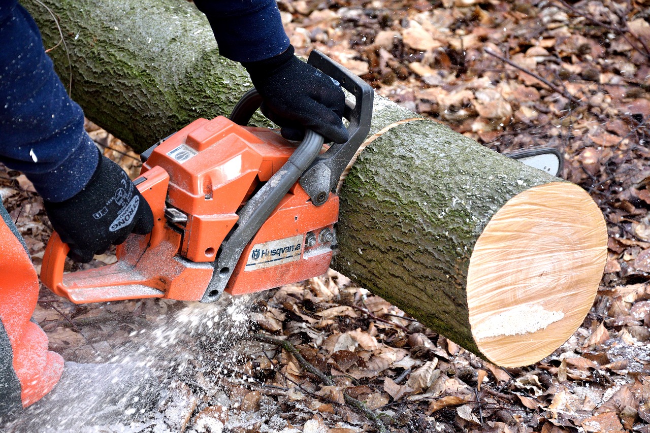 Chainsaw Buying Guide, Buying a Chainsaw